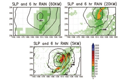 Apllication of data assimilation to a simulation of sea level pressure and precipitation.